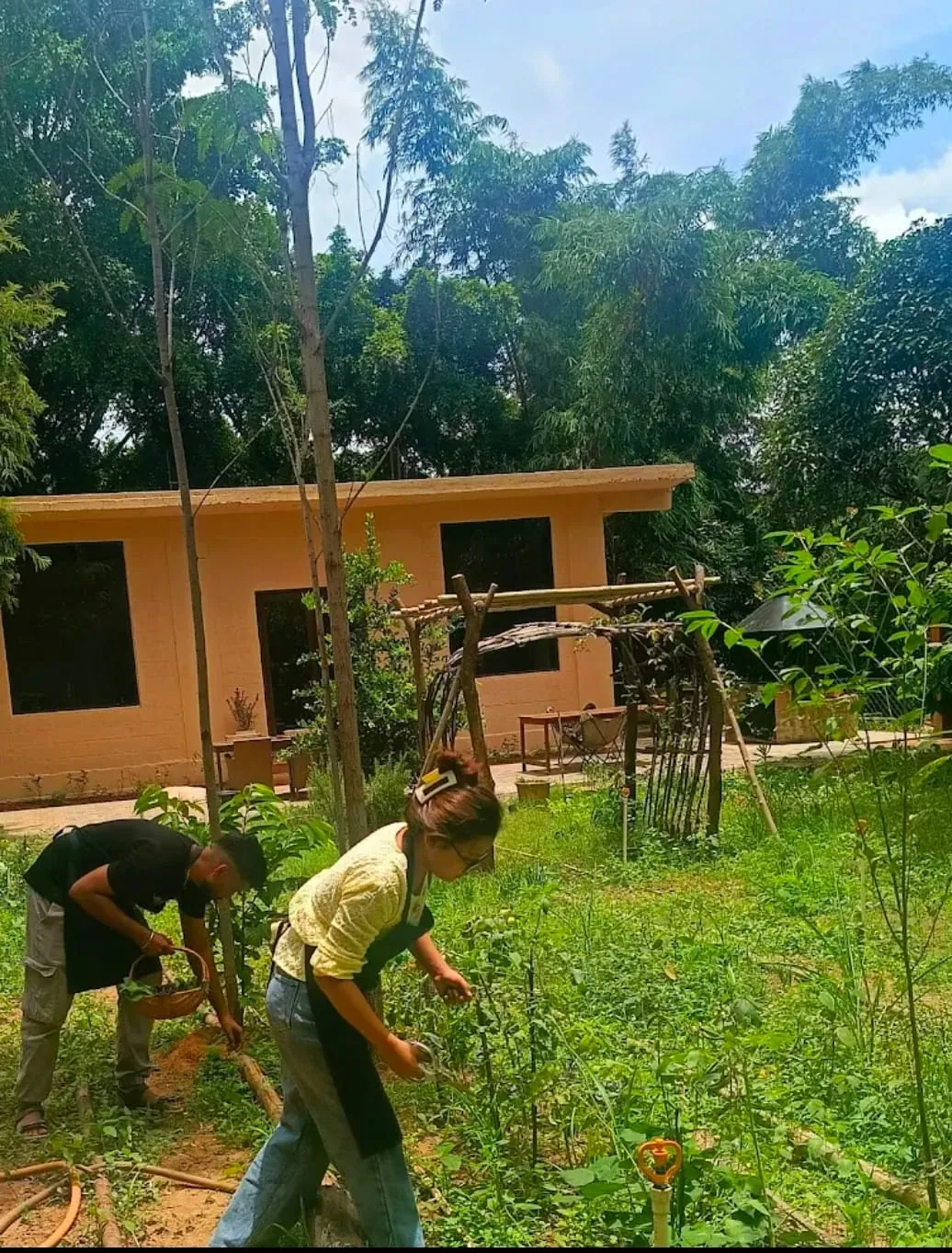 Nature